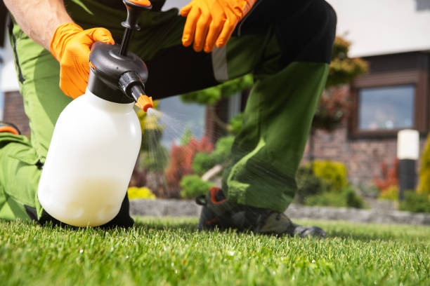 Best Rodent Control Near Me  in Allyn, WA